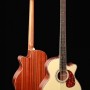 Sqoe B-30 五弦電木低音結他 電木BASS 