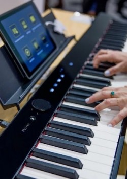Casio PX-S1000 (Piano Only Package)