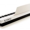 KAWAI ES-110 BK/WH (Full Set Package)