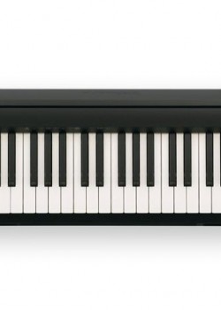 Roland FP-18 BK (Piano Only Package) 中文面版