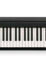 Roland FP-18 BK (Piano Only Package) 中文面版