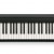 Roland FP-18 BK (Piano Only Package) 中文面版