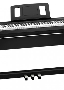 Roland FP-18 BK (FULL SET Package) 中文面版