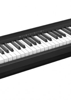 Roland FP-18 BK (FULL SET Package) 中文面版