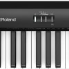 Roland FP-18 BK (FULL SET Package) 中文面版