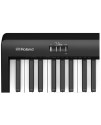 Roland FP-18 BK (FULL SET Package) 中文面版