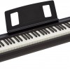 Roland FP-18 BK (FULL SET Package) 中文面版