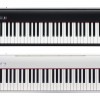 Roland FP-30x BK / WH (Piano Only Package) 