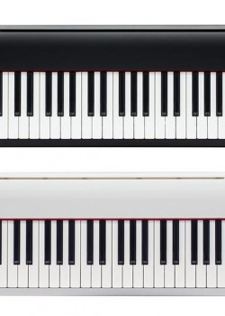 Roland FP-30x BK / WH (Piano Only Package) 