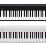 Roland FP-30x BK / WH (Piano Only Package) 