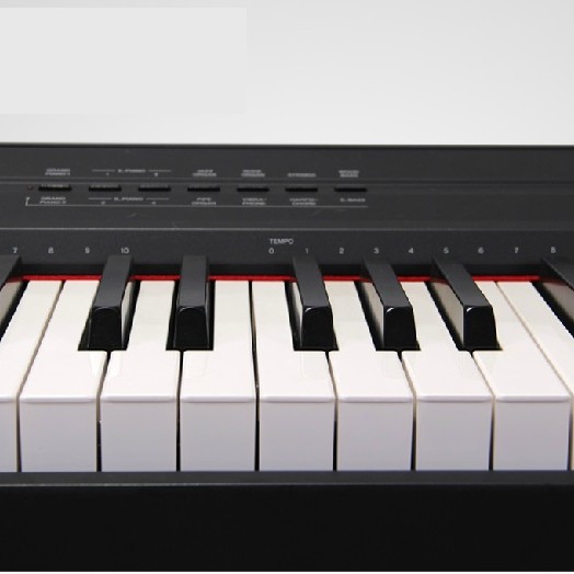 Yamaha P-48 BK (Full Set Package)