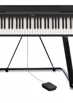 Yamaha P-48 BK (U-Stand Package)