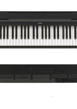 Yamaha P-48 BK  (Piano Only Package)