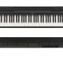 Yamaha P-48 BK  (Piano Only Package)