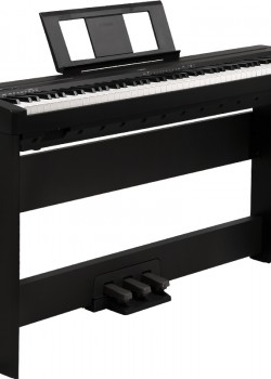 Yamaha P-48 BK (Full Set Package)