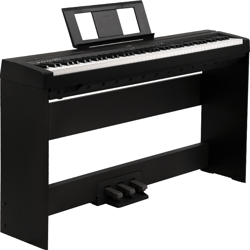 Yamaha P-48 BK  (Piano Only Package)