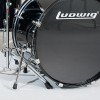 LUDWIG ACCENT 爵士鼓
