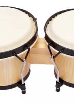 邦戈鼓 Bongo Drum