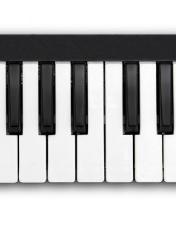 worlde EASY KEY25 MIDI