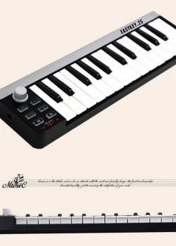 worlde EASY KEY25 MIDI