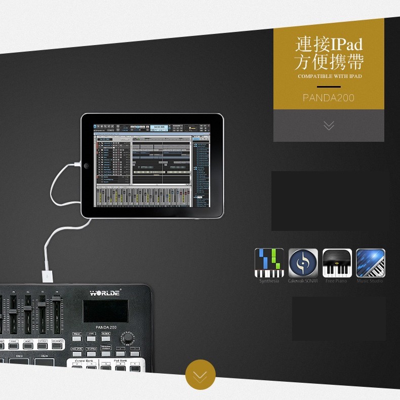 WORLDE PANDA 200 MIDI 控制器