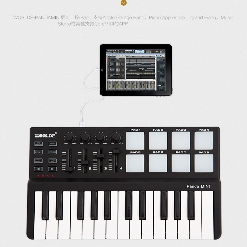 WORLDE PANDA MINI controller midi25