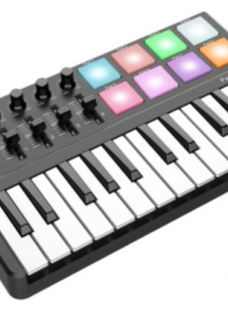 WORLDE PANDA MINI controller midi25