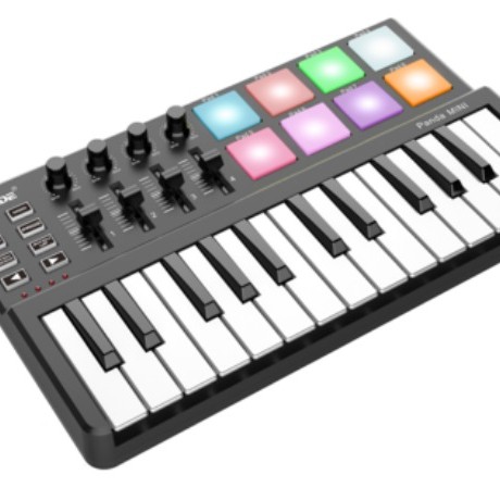 WORLDE PANDA MINI controller midi25