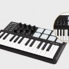 WORLDE PANDA MINI controller midi25