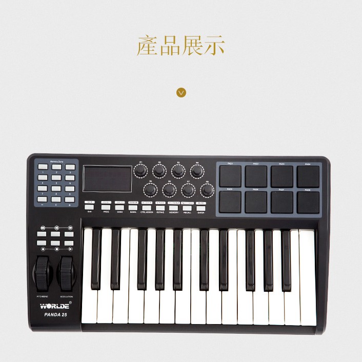 WORLDE PANDA25 MIDI KEYBOARDS