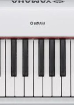 門市陳列 電子琴 YAMAHA Piaggero NP-32