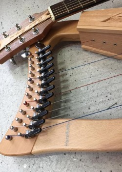 12弦 小豎琴 12 strings lever harp