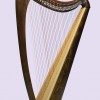 Eagle 40弦 愛爾蘭 豎琴 40 Strings Irish Harp