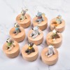 仰望星空 動物 旋轉圓形 音樂盒 MUSIC BOX (一套9個)