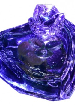 大心型花 透明 帶LED燈 音樂盒 MUSIC BOX