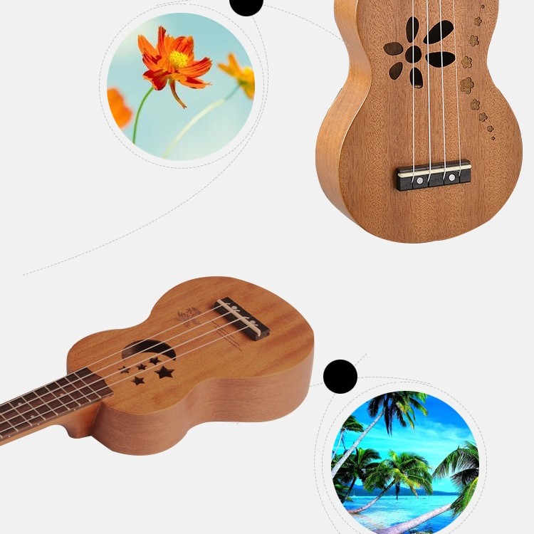 21吋 ALOHA ASUB