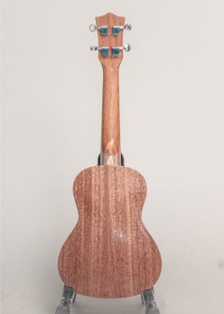 CALVIN SANG CS-23A 