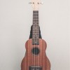 CALVIN SANG CS-21A 