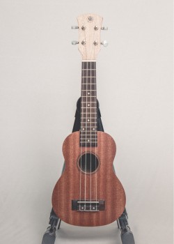 CALVIN SANG CS-21A 