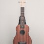 CALVIN SANG CS-21A 