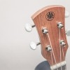CALVIN SANG CS-21A 