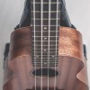 CALVIN SANG CS-21A 