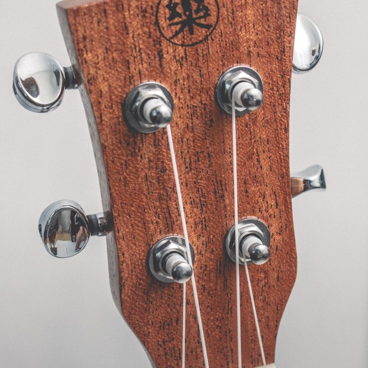 CALVIN SANG CS-23A 