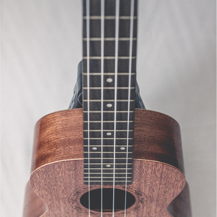 CALVIN SANG CS-23A 