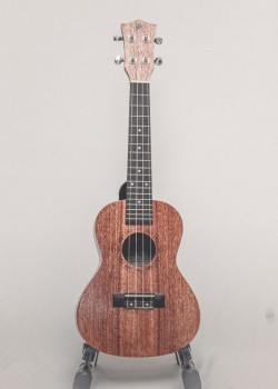 CALVIN SANG CS-23A 