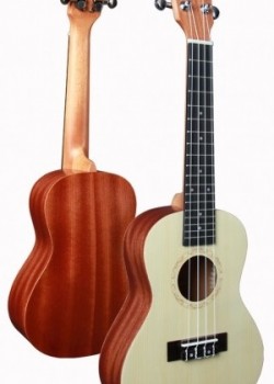 Chard U-24Y