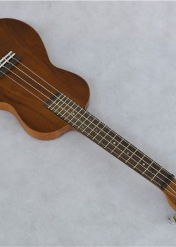 Eleuke -U型