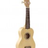 IPRO IP21