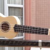 IPRO IP21
