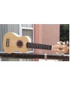 IPRO IP21